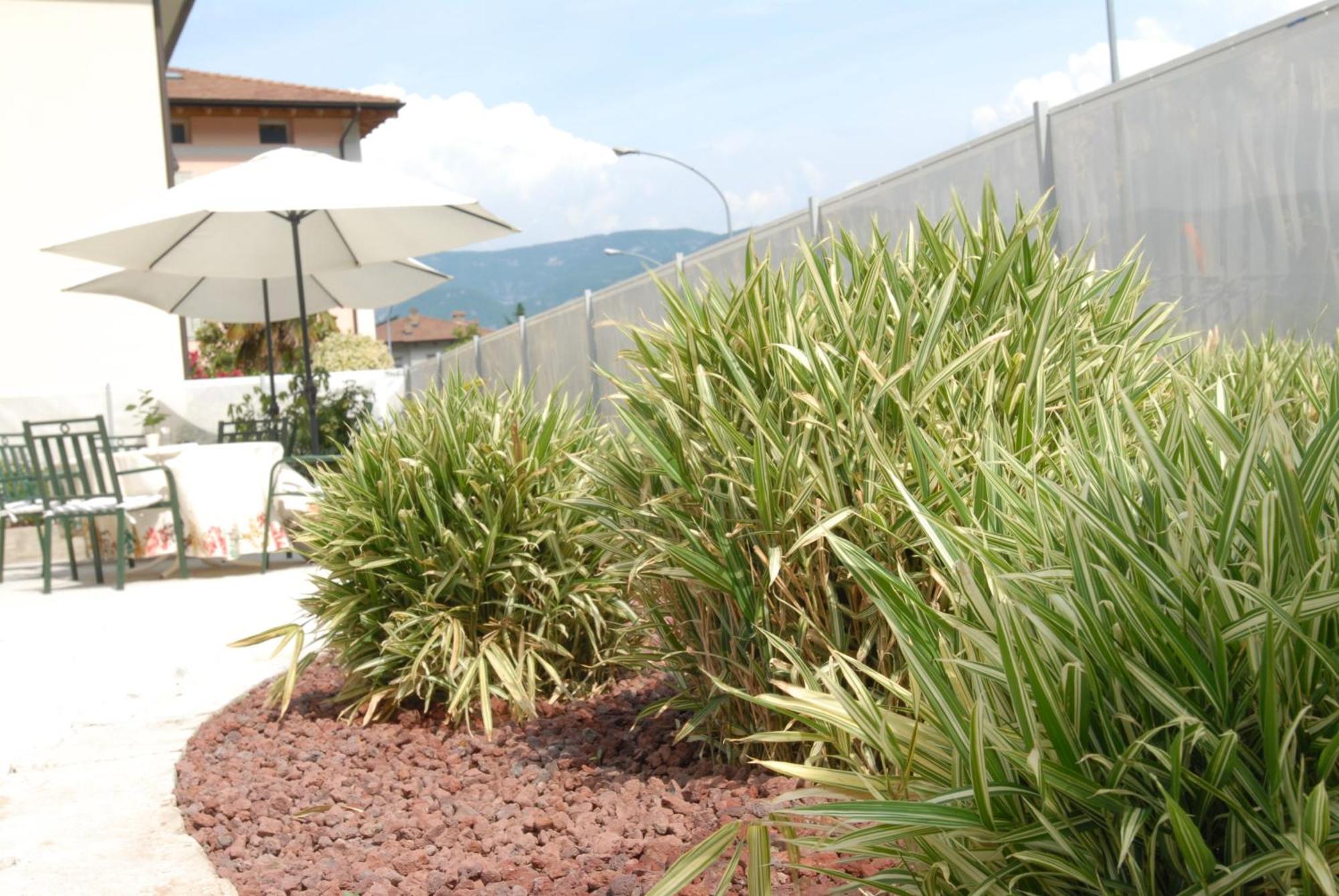 Albergo Al Sole Mezzolombardo Exterior foto